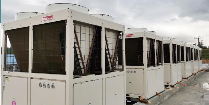 �R�ʺ�����I(y��)�B(y��ng)ֳ�Ŀ